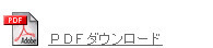 PDFファイル