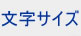 文字サイズ