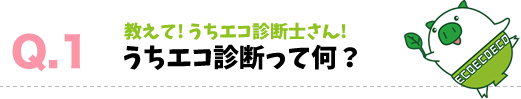 Q1_うちエコ診断って何？