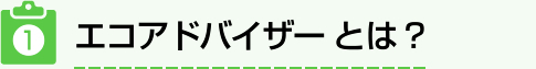 エコアドバイザーとは？