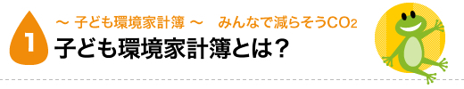 子ども環境家計簿とは？